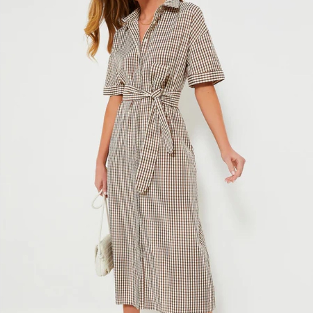 Tuckernuck Brown Gingham Pomander Place Zacara Dress